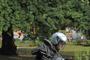 Honda PCX125 ym10  0800