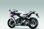 Honda CBR 1000 RR 2012 (5)