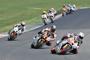 Honda CBR Cup (7)