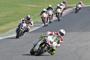 Honda Hornet Cup (7)