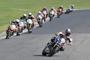 Honda Hornet Cup (8)