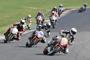 Honda Hornet Cup (9)