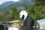 Honda Epic Tour (3)
