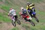 I campioni in volo