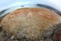 Isole Svalbard Bracali 45
