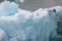 Isole Svalbard Bracali 50