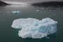 Isole Svalbard Bracali 51