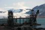 Isole Svalbard Bracali 71