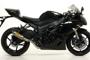 Kawasaki ZX 6R 09 GP2 1
