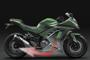 Kawasaki Ninja 250 R 2013 (10)