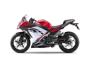 Kawasaki Ninja 250 R 2013 (14)