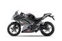 Kawasaki Ninja 250 R 2013 (16)