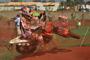 Musquin5BRA