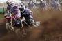 MX Benelux 2010 Philippaerts5