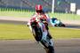 n517357 Simoncelli 4.original