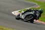 Next Ninja Suzuka 7