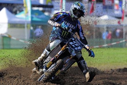 Paulin