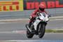 Pirelli diablo corsa 2010 19