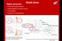 SCHEMA CARDANO HONDA