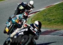 smith corti