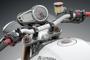 SPEED TRIPLE 05