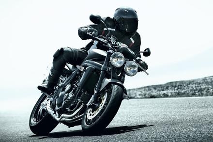 SpeedTriple 2010