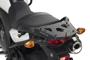 SRA3101