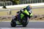 Sykes action