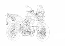triumph adventure disegni