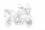 triumph adventure disegni