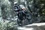triumph tiger800 05