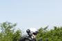 Triumph Classics 2012 (16)