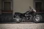 Triumph Classics 2012 (29)