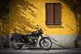 Triumph Classics 2012 (30)