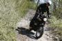 Triumph Classics 2012 (12)